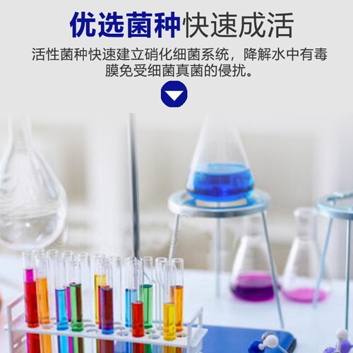 Nitrifying bacteria live bacteria fish tank water purifier concentrated digestive bacteria fish farming supplies nitrifying bacteria capsules