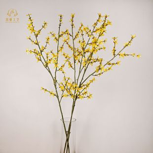 ���滨 ӭ�������� �B�N ���Sɫ���� ����ʽ�ٻ�ܛ�b���ļҾ��b