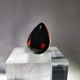 Shirui Ji Billion Years Pure Natural Brown Amber Brown Pepper Natural Amber Ornaments Jewelry Raw Materials