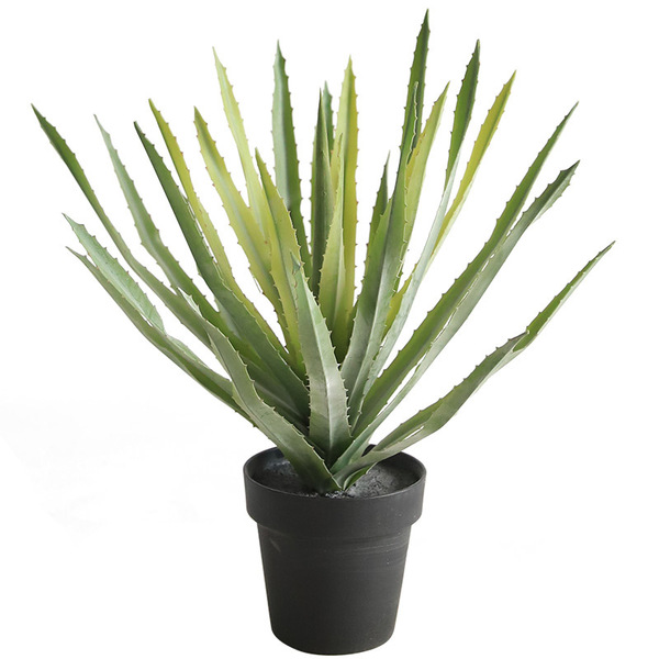 Soft glue material feel long -leaf vera vera vera high simulation…