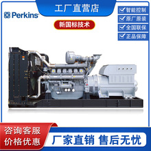 ���˹30KW/100//200/300/400/500KW800ǧ���_��ʽ���Ͱl늙C�M