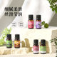 Hanji lavender plant massage essential oil beauty salon scraping body massage massage oil skin care products manufacturers wholesale