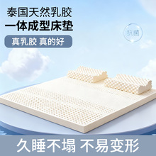 现货泰国钢印天然乳胶床垫单双人家用学生席梦思垫子批发透气
