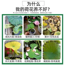 �ɻ�����ɏ�I�BҺ˯ɏ�ɻ�����ɏ��ˮ��ˮ��ɏź�������Ժ���