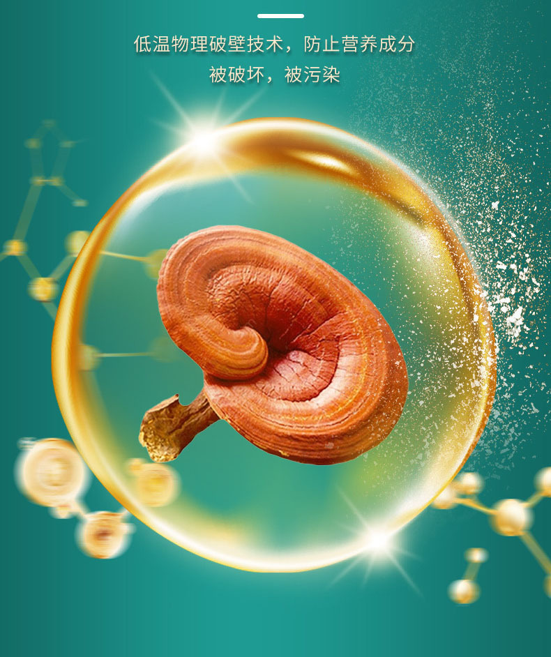 Reishi Mushroom Spore Powder 100g Ling Zhi Chi Zhi Cell Wall Broken for Daily Wellness quality and texture
