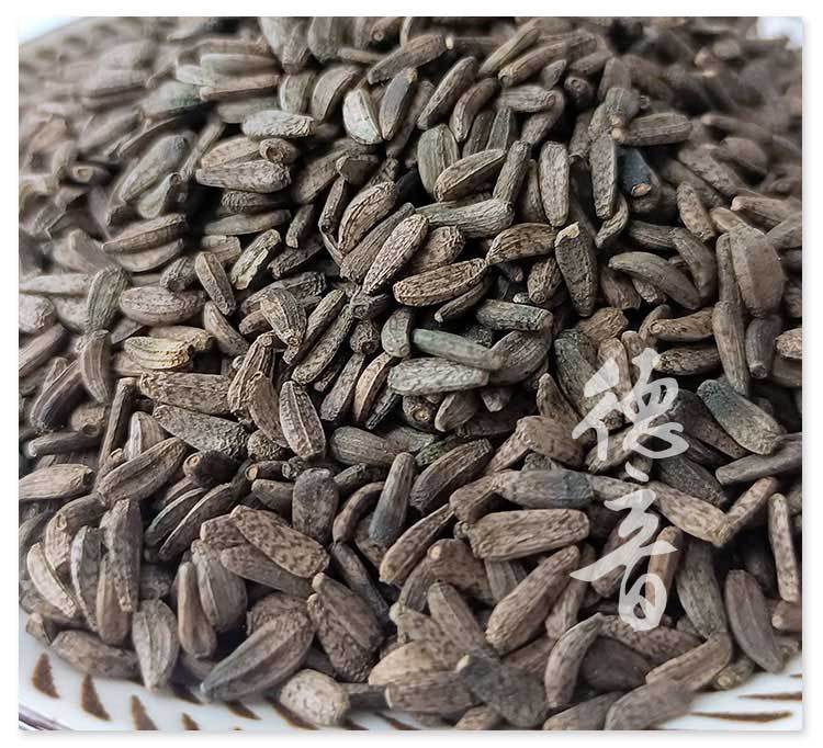 Niubangzi Great Burdock Fruit 500g Dried Arctium lappa Seeds for Traditional Herbal Decoctions quality and texture