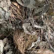 包邮500克中药材四块瓦 四大天王四匹瓦四叶对干货无硫批发