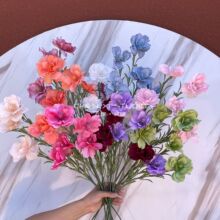 �¿�5�^�yɏ�� ˮ�ɻ�Ī��֮�����滨��c��Y�û��Ų廨��ꐲ���