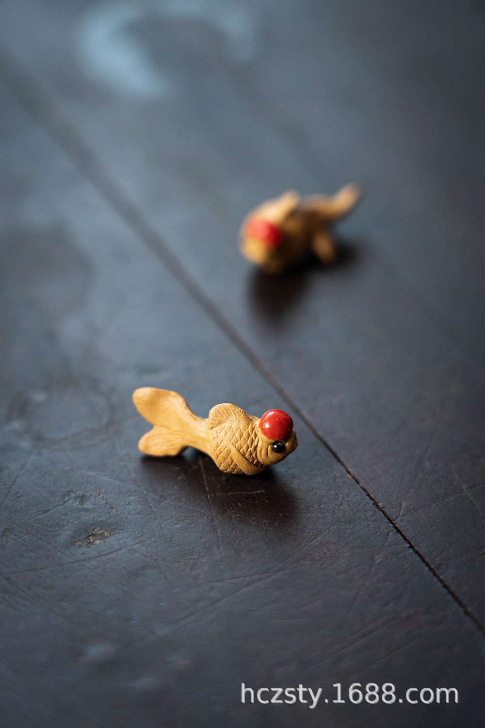 小金鱼20220714 (25).jpg