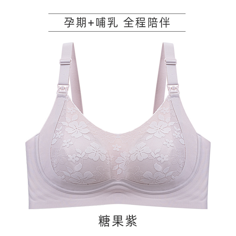 캔디 퍼플