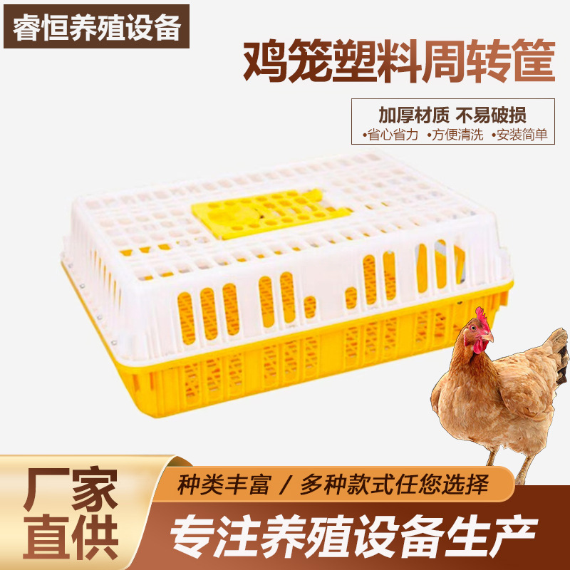 Caja de plástico para transporte de pollos, resistente y a prueba de caídas, para el transporte de aves, jaula de cría de pollos de plástico para uso doméstico, en stock.