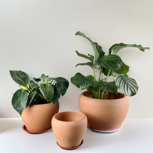 ͸����ˮ��̖���ܷNֲ�� �ش�̖�t���Gֲ����t�����������бP