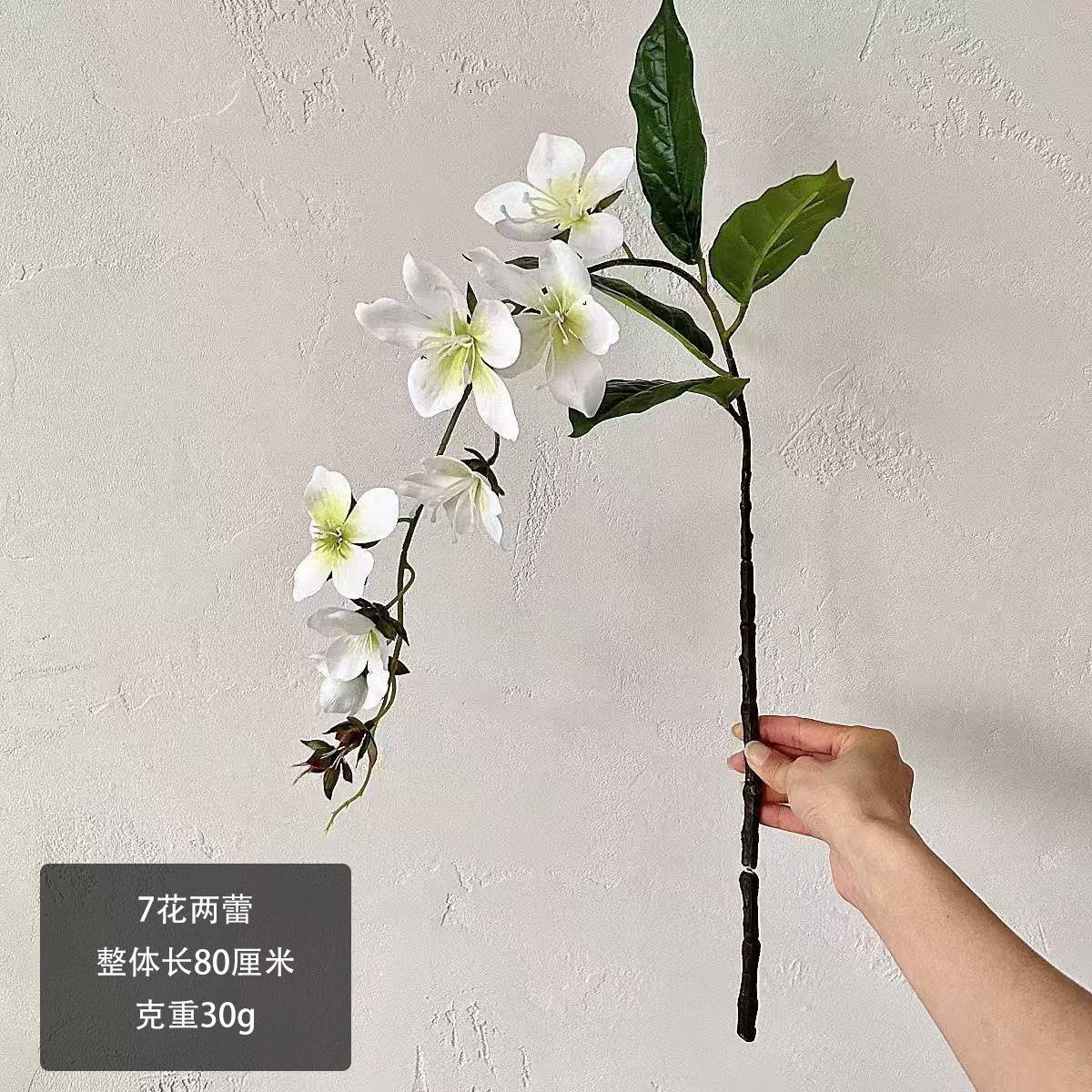 화이트