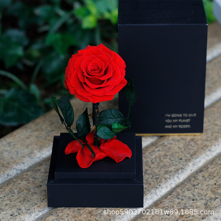 Regalo acrílico del Principito, rosa, Día de San Valentín, regalo de cumpleaños para niña, flor eterna, arte de flor eterna terminado