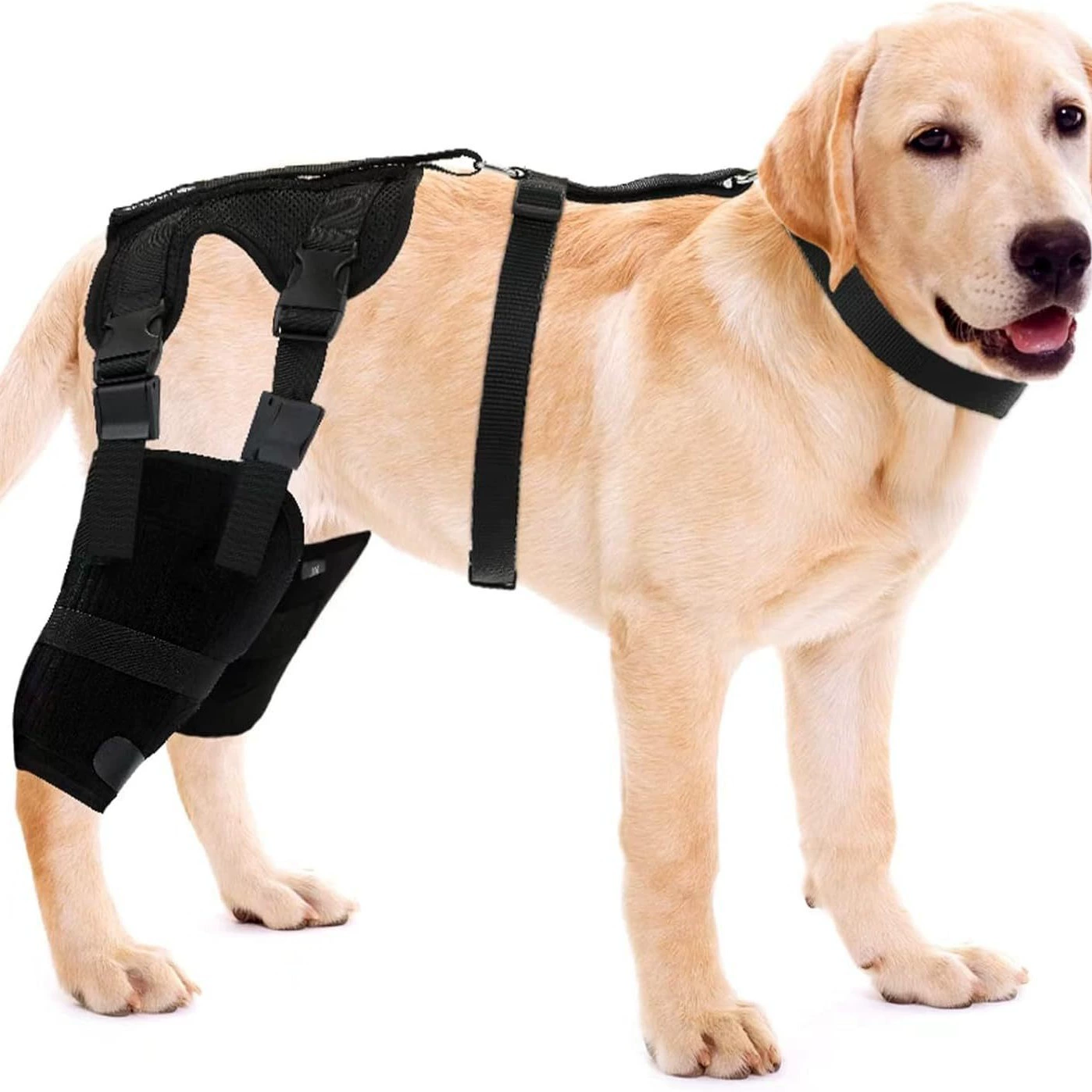 Защита для домашних животных Защита для ног для собак