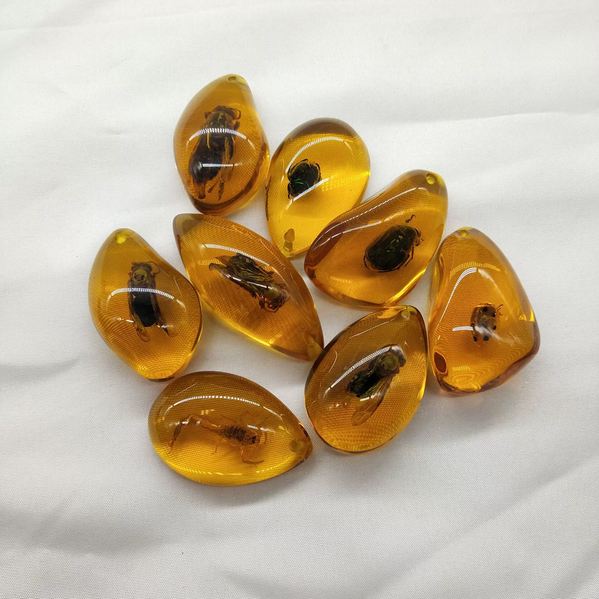 Amber sample, wholesale