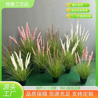 天然小芦苇盆栽真芦苇仿真植物卢苇草狗尾巴橱窗落地摆件商场造景