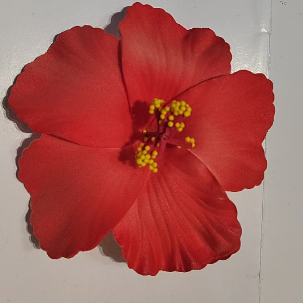 Hasang Flower Simulation Flower Egg Flower Travel Photoshoot DIY Jewelry Hairpin Side Clip Women's Headdress Accessories Hair Accessories Flower Head