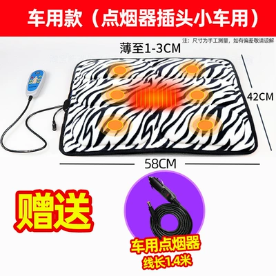 for the Elderly | Masaj avadanlığı - leopard-print-car-model-with-cigarette-lighter-plug-and-cord-length-14m