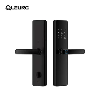 跨境电商工程项目通通涂鸦wifi锌合金智能门锁带指纹密码卡片钥匙
