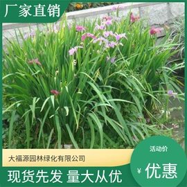 水生植物;其他园林资材;园艺工具