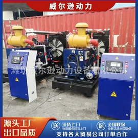 柴油发电机组;内燃机;燃气发电机组