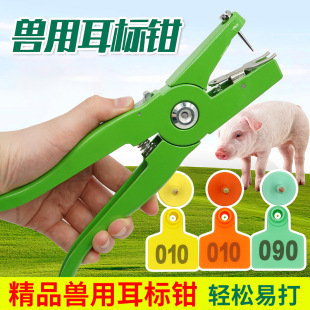 �i������Q�i������ţ�ö�̖�Q�����Q�F�ô�������Q�ӽ��ٶ����Q
