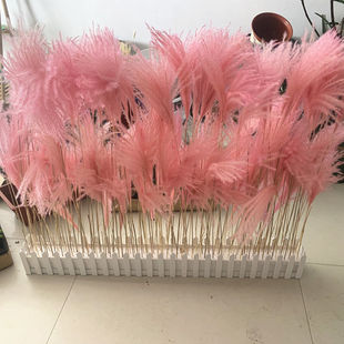 ��Ȼ�JȔ�ɻ�����������m���滨��@�b�ins���յ��ߵ����滨