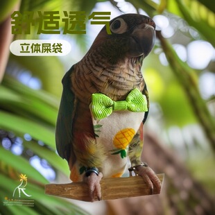 �羳�����B�·��W�^���b�򲻝�ʺ����ѝ�����w�з��˸��򲻝�С�B