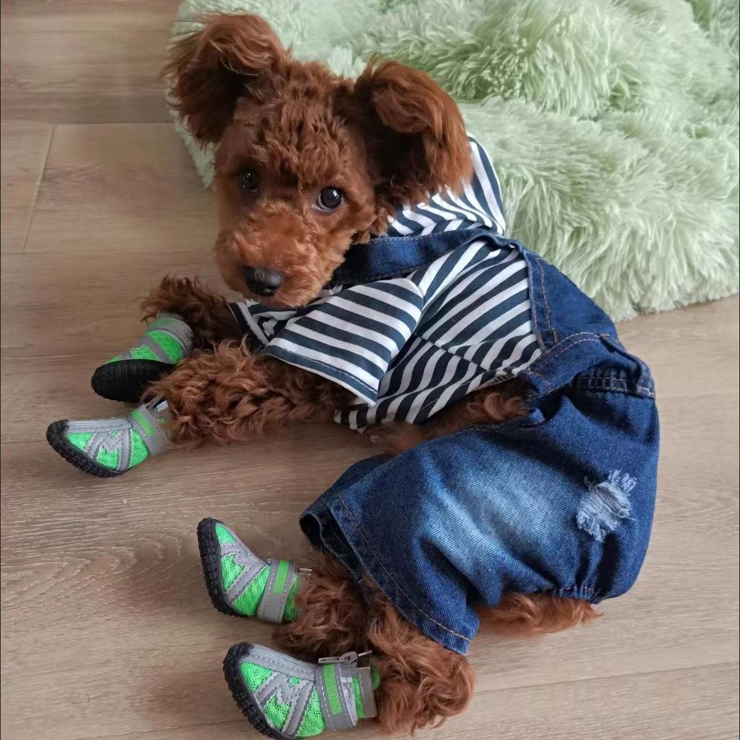 Dewangxing cachorro transpirable de malla oso de peluche zapatos para mascotas Botas de lluvia para perros pequeños zapatos para perros Conjunto de 4
