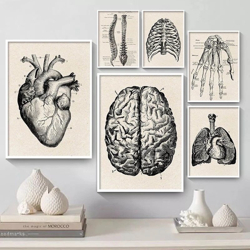 跨境老式人体解剖海报无框画医疗墙图片肌肉帆布画高清喷绘打印