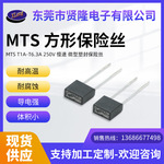 MTS系列T1A-T6.3A 250V方形保险丝 慢断微型电流保险丝 现货批发