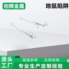 地鼠陷阱夹野外鼹鼠夹子捕鼠器地鼠夹全自动捕捉工具不锈钢夹子