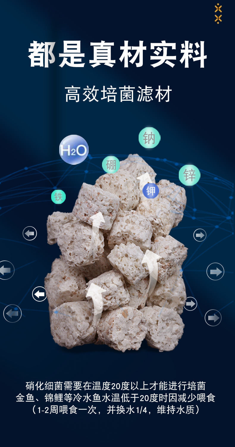 c4b3d1d5-cd99-4551-be1c-6355258a5f31.jpe