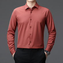春秋季高档多色舒适个性商务正装百搭透气免烫精致新款男士衬衫潮
