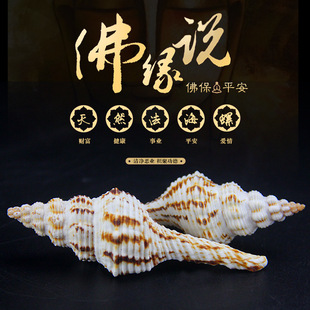 ���ڷ���������������������������ݰ˹��׺��ݷ���