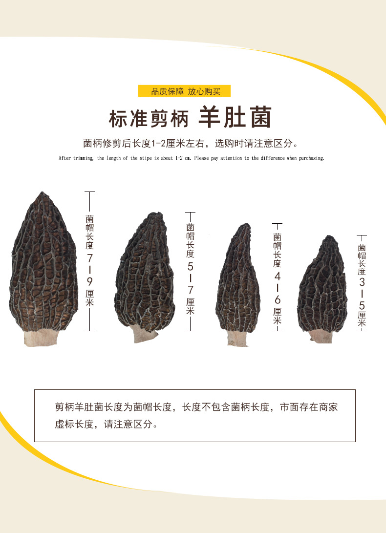 Dried Morel Mushroom Hand Selected Medium Grade 50g Natural Sun Dried Soup Ingredient quality and texture