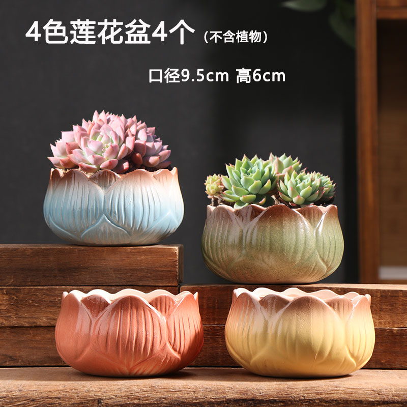 네 가지 색깔의 연꽃 4개