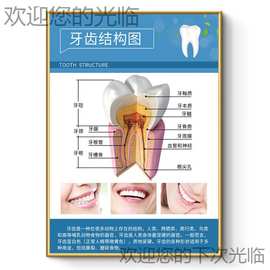 口腔诊所装饰画牙医门诊挂画牙齿知识科普海报种植矫正牙贴画KT板