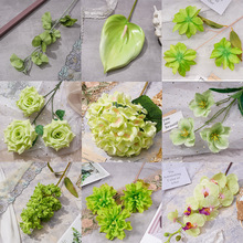 �Gɫϵ��c���滨�Ľ�����Y���bٻ�������Ī�λ��@֮���廨