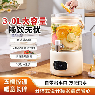 Health Pot Household Large-Capacity Electric Water Kettle with Faucet 3 Liters Tea Maker Scented Tea Bucket Safe Without Glue