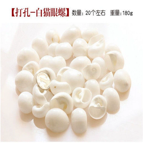 30 punched white cat snails