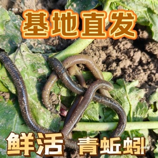 ������w��~��S�X������r�����򾴹��~�D��������С̖���