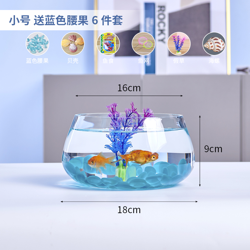 스몰 사이즈 거북 실린더 블루 캐슈 너트 6 개 세트