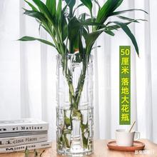 富贵竹花瓶玻璃水培透明水养摆件客厅插花大竹子花盆落地