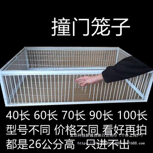 ����ײ�T���ӻ�j�T�\ײ�T���\�F�\ֻ�M�������\����\ײ�T�Ԅ��T