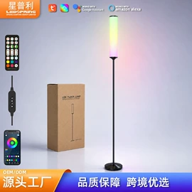 落地灯;LED装饰灯;成套灯具