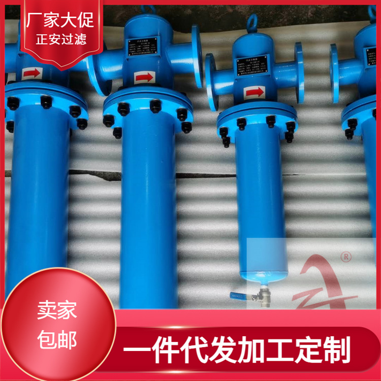 气液分离器ZA-XFQF50 油水分离器设备