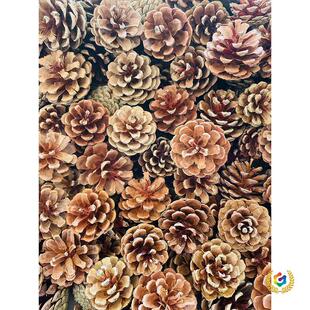 ���l100���ɹ��b��ֹ������ɹ������}�Q�ɹ��ɻ��Ĕz����diy����