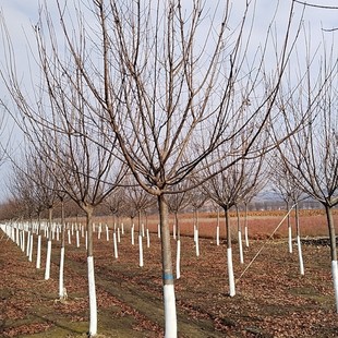 �|��������乤����ľ�|����ľ���l